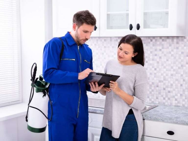 What To Do Before And After Pest Control Treatment BioTech Termite