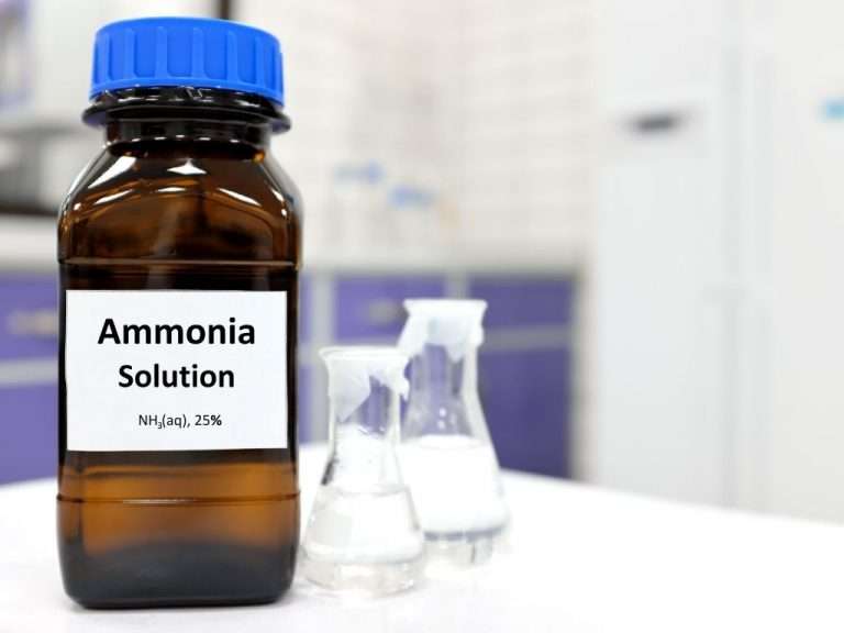 Does Ammonia Work To Get Rid Of Mice? BioTech Termite & Pest Control