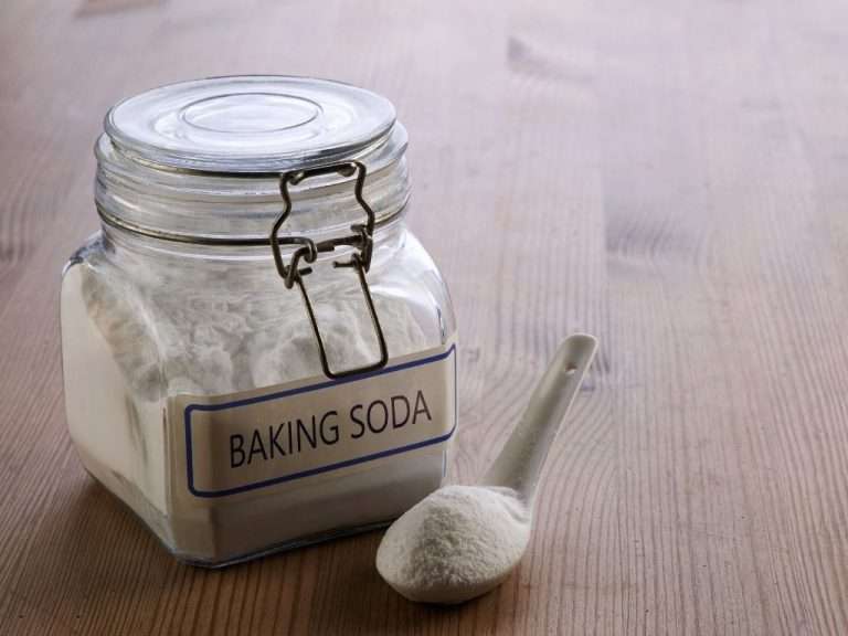 Mice/Rats Vs Baking Soda Does It Work And How To Use It? BioTech