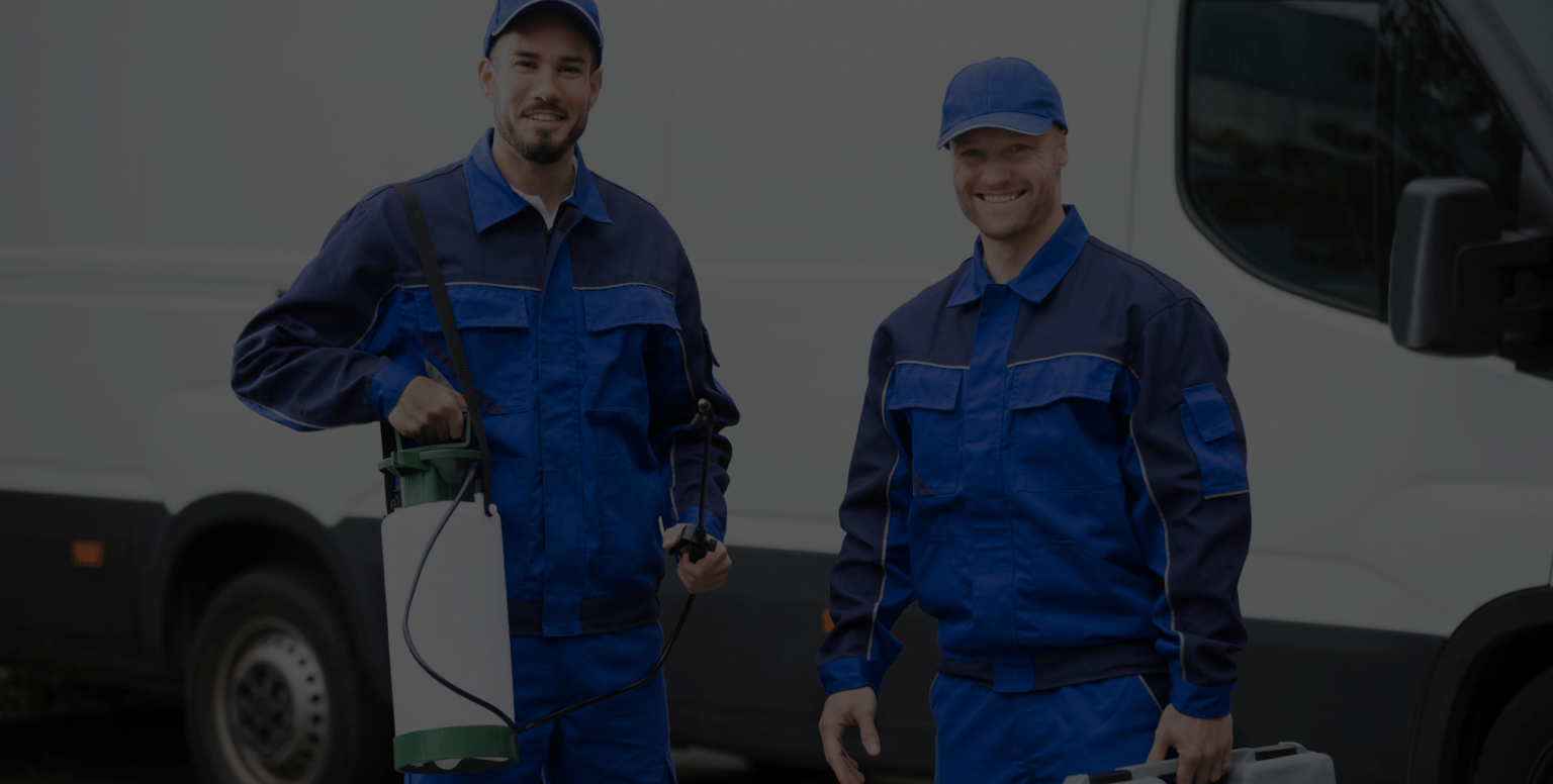 Ant Control NYC | Long Island | CT | NJ - Biotech Termite & Pest Control